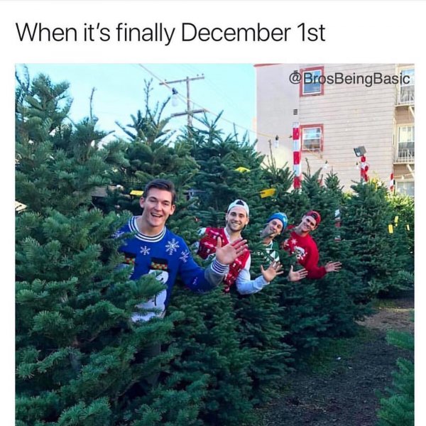 44305118-2711772112269743-8611254334911682409-n