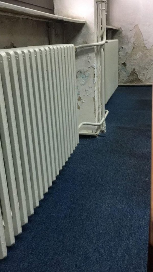 49577029-1220727334741938-553886082073100288-n