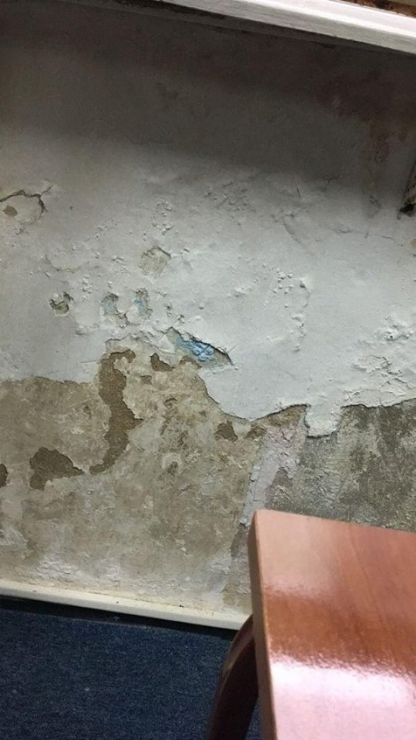 49759093-1220727251408613-6131783164772745216-n-1