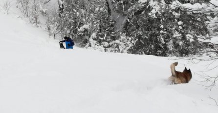  I dalje se traga za nestalim El-Eminom Hadžićem