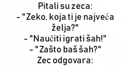 VIC : Zekina najveća želja