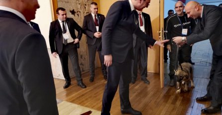 "DOĐI PAŠA, DOĐI, HAJDE", OBJAVLJEN SNIMAK VUČIĆA KAKO MOLI PSIĆA DA PRIĐE PUTINU: A on je samo legao! (VIDEO)