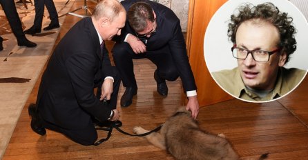 SRĐAN PUHALO U SVOM STILU PROKOMENTARISAO VUČIĆEV POKLON PUTINU: Evo zašto je šarplanincu Vučić dao ime - PAŠA!