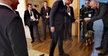 SAMO JE PRED PAŠOM PAO NA KOLJENA: Ovo su ostali ljubimci predsjednika Rusije koji svjetskog vladara pretvaraju u pravo dijete