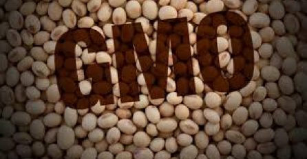 U RS će biti dozvoljeno stavljanje u promet GMO soje za ishranu životinja