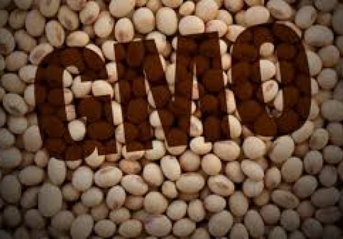 U RS će biti dozvoljeno stavljanje u promet GMO soje za ishranu životinja