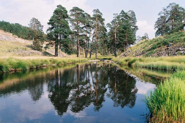 zlatibor5