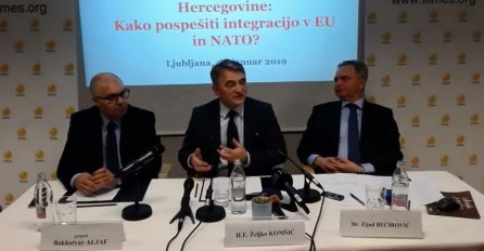 Komšić: Ne možete ništa BiH, ja mogu svašta da podnesem
