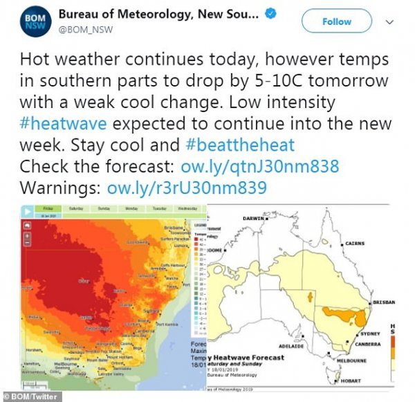 8785484-6614565-image-a-13-1548067427472