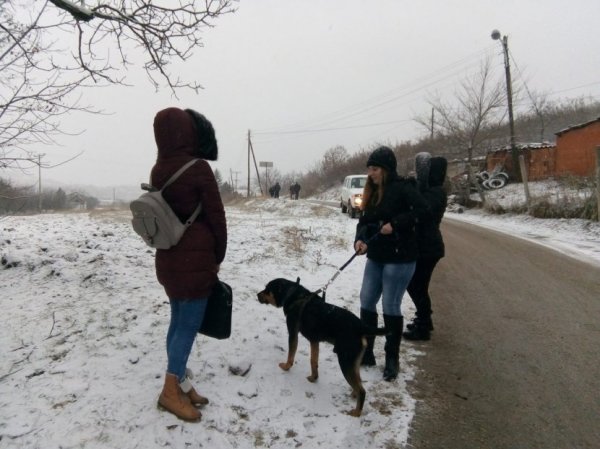 nis-evakuacija-jasenovik-7-830x0