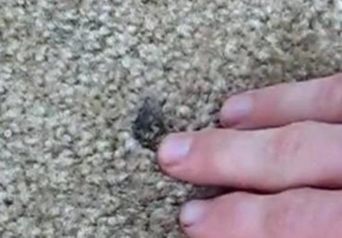 NAMJEŠTAJ STE SPRŽILI CIGARETOM: Samo na izgorjelo mjesto stavite ovo i riješit ćete problem 