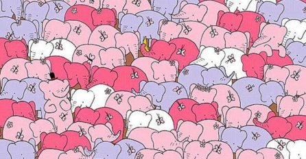 NEMA ŠANSE DA NAĐETE SAKRIVENO SRCE MEĐU GOMILOM SLONOVA: Ako ga pronađete za MANJE OD MINUT, vi ste GENIJE! (FOTO)