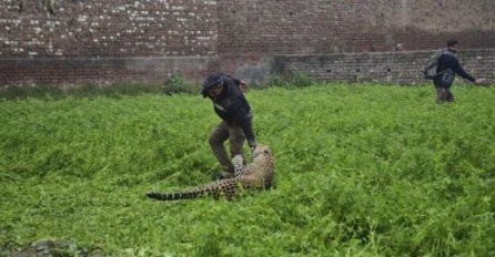 JEZIVI PRIZORI: Ovaj čovjek se borio sa leopardom ČAK ČETIRI SATA! (VIDEO)