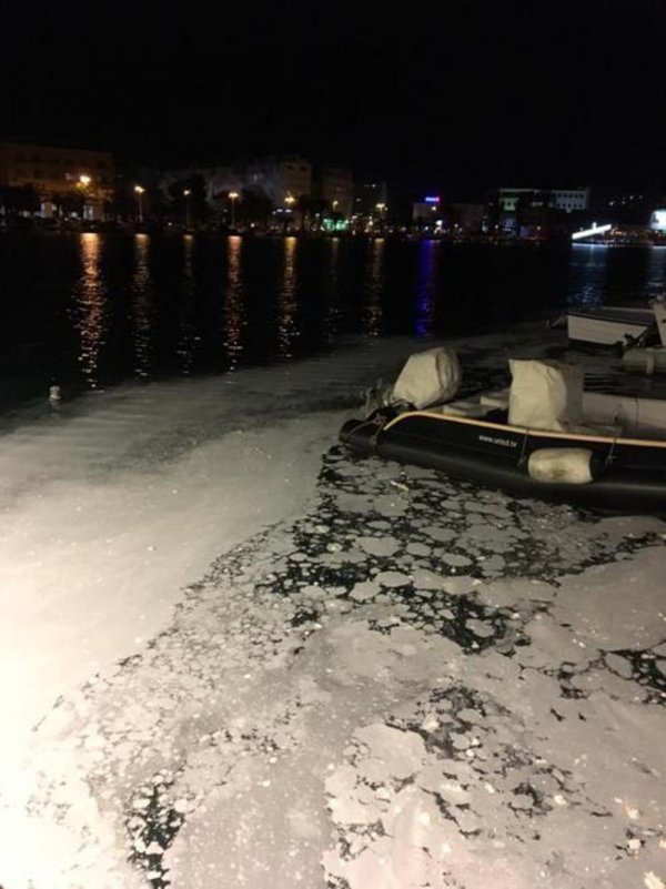 1753881-b10266d12ebab01177a6-ff