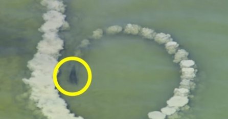 DELFIN JE NAPRAVIO KRUG OKO PIJESKA: Nekoliko sekundi kasnije prvi put je snimljen MORSKI FENOMEN