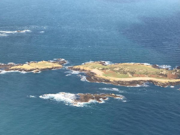 51566062-2308506095848603-2986205484042636151-n