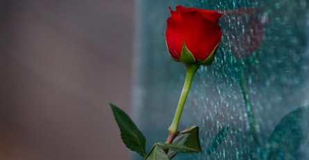 Danas se obilježava Dan sjećanja na poginule građane Sarajeva