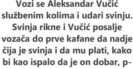"Vozi se Aleksandar Vučić službenim kolima i udari svinju. Svinja rikne i Vučić pošalje vozača…"