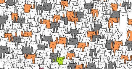 SVIMA SU OČI ISPALE OD TRAŽENJA, ALI NIKO NE VIDI: Za manje od 2 minute PRONAĐITE SKRIVENOG ZECA MEĐU GOMILOM MAČKI!