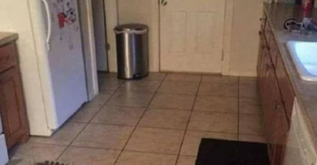 OVA FOTOGRAFIJA IZLUĐUJE SVE NA FACEBOOKU: Vidite li vi na njoj psa?