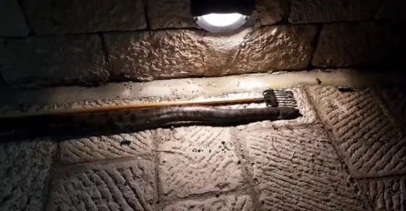 ČUDOVIŠTE OD DVA I POL METRA SE POJAVILO U HRVATSKOJ: Dječaci je proboli OSTIMA, ali to je bila velika GREŠKA! (FOTO)