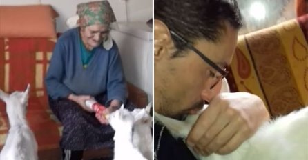 Hranila je Gačića, a sinoć u strahu: Sve mi ispreturali, uletiše i među koze