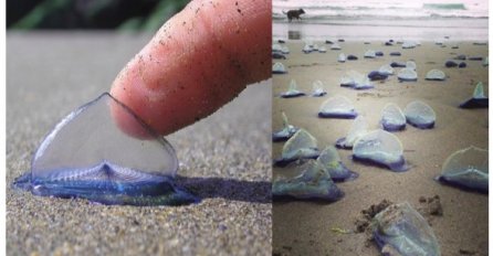 Čudne fotografije koje dokazuju da na svijetu postoje stvari koje nas mogu iznenaditi