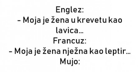 VIC : Englez, Fancuz i Mujo