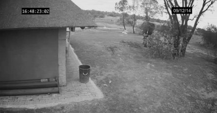 PROVJERILA JE SNIMKE NADZORNE KAMERE IZ SVOG DVORIŠTA: Vidjela je scenu koja ju je izbezumila 