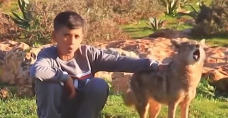 HRABRI DJEČAK IZ LIBIJE: Pripitomio vuka sa kojim sada čuva ovce (VIDEO) 