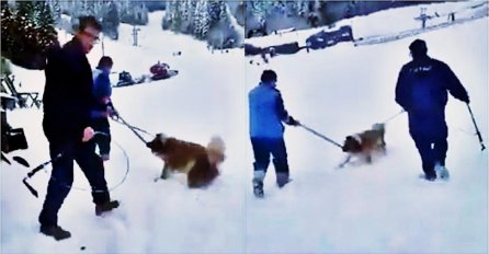 SRAMOTA NA BJELAŠNICI: Pogledajte kako se ljudi odnose prema psima i odvode ih u nepoznatom pravcu (VIDEO) 