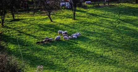 SAMO RIJETKI ZNAJU: Znate li šta je džemre - koliko ih ima i kad "udaraju"?