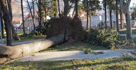 STABLA PADALA NA AUTOMOBILE: DRAMATIČNE SCENE NEVREMENA