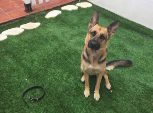 grrk9kqturbxy9imjlinji5nzm4njzindm3njdjmja0ywvmzddhngfhzc5qcgvnkzuczqjsamldgqewaaexaa