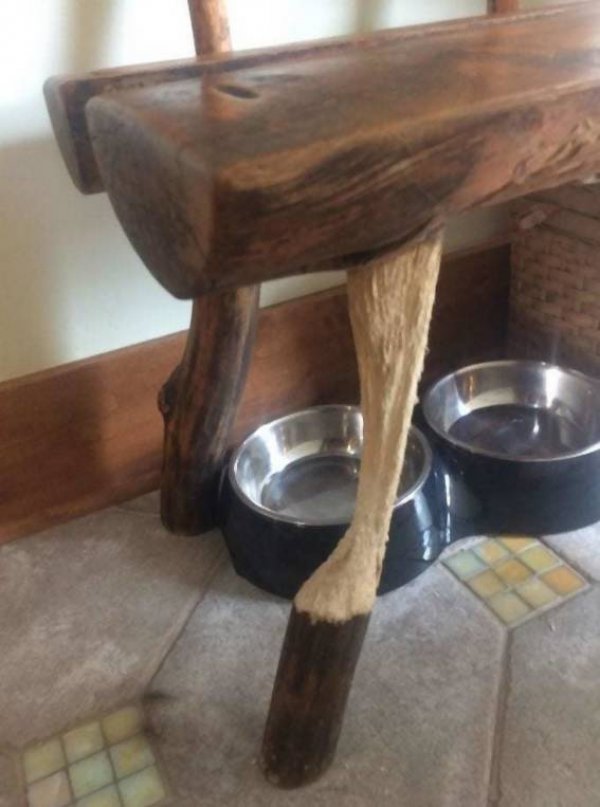 h5fk9kqturbxy8xmzljzje4mmnhotfmndhknji4yjdindy0zdy5ytk4os5qcgvnkzuczqjsamldgqewaaexaa