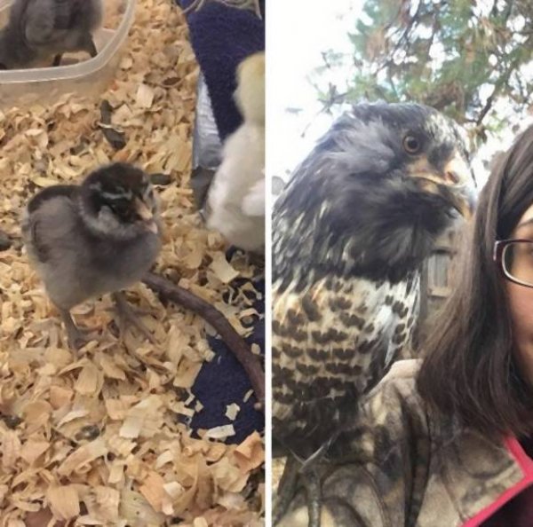 prck9kqturbxy8wnjk0owu4ndc3mzvhndy2ntk2zta4otbmymmzzjjhms5qcgvnkzuczqjsamldgqewaaexaa