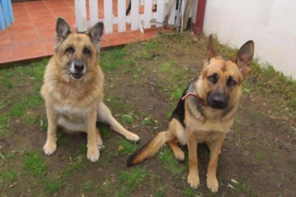 rikk9kqturbxy9kytu5otg4mdzim2fjzgewnwi1m2i3mzhkogq2nzyymy5qcgvnkzuczqjsamldgqewaaexaa