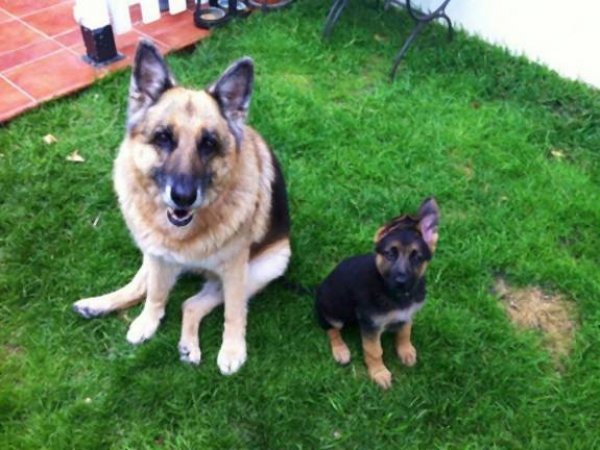 xypk9kqturbxy85n2q4ymnmm2uxndm2ytgynmnlmzdlndrmyjq2nmy4zi5qcgvnkzuczqjsamldgqewaaexaa