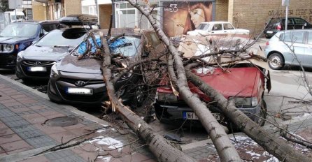 Jezive scene na ulicama: Oluja napravila totalni haos u Srbiji, vjetar čupao stabla iz korijena, auta oštećena