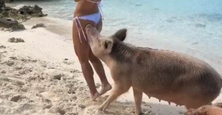 NEOBIČNA SCENA ZA MANEKENKU: Nezgoda na snimanju