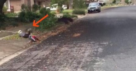  DJEČAK JE PAO S BICIKLA, ALI POGLEDAJTE KO DOLAZI U POMOĆ: Ovo će vam rastopiti srce!