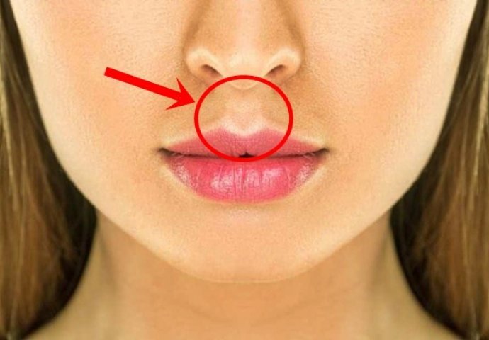 NIJE TU BEZ RAZLOGA: Evo čemu služi rupica između gornje usne i nosa! (VIDEO)