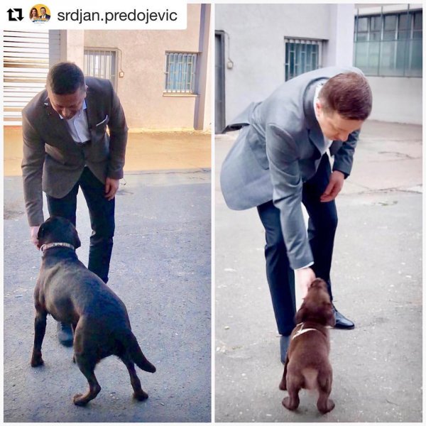 51635750-135058620874595-2046545931867293871-n