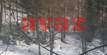 JEZIVO: Ovdje je pronađen El-Emin Hadžić 