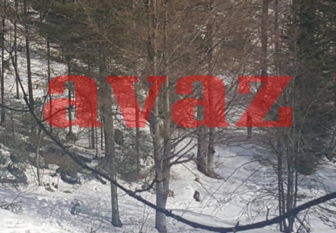 JEZIVO: Ovdje je pronađen El-Emin Hadžić 