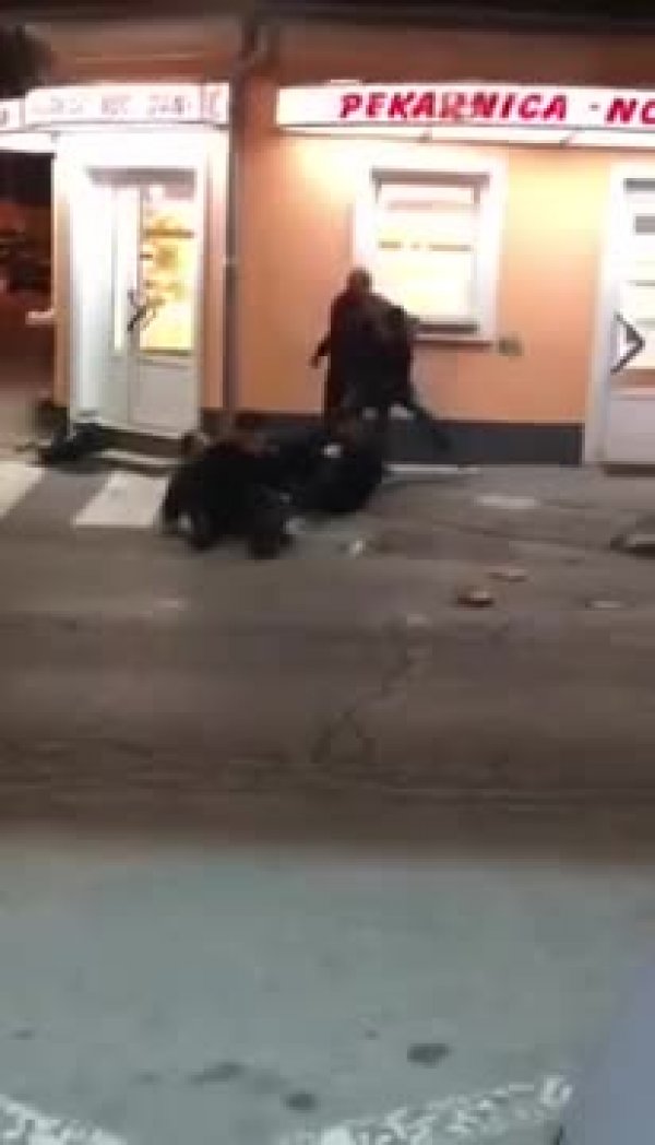 c7cdc008522f56627a48-1