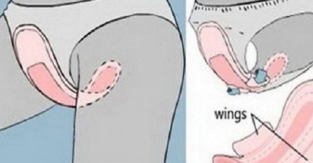 ULOŠKE SMO CIJELO VRIJEME STAVLJALE NA POGREŠAN NAČIN: Ona je slučajno otkrila pravi način i sve iznenadila!