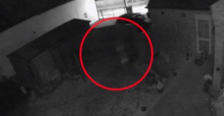 PORODICU SU PROBUDILI ČUDNI ZVUCI IZ DVORIŠTA: A onda je kamera SNIMILA NEŠTO ZASTRAŠUJUĆE (VIDEO)