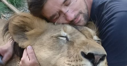 "KUĆNI LJUBIMAC" MU PRESUDIO: Čeha ubio lav na imanju!