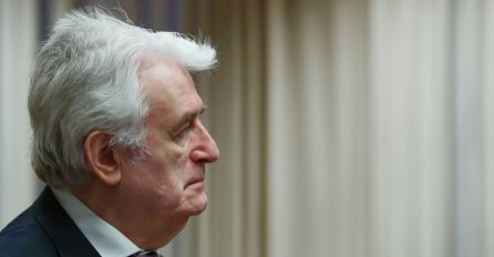 Javno praćenje izricanja presude Karadžiću 20. marta u Vijećnici